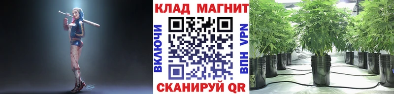 Где можно купить наркотики Мышкин APVP ГАШ КОКАИН