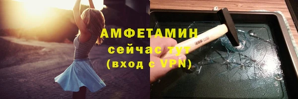 гидра Заводоуковск