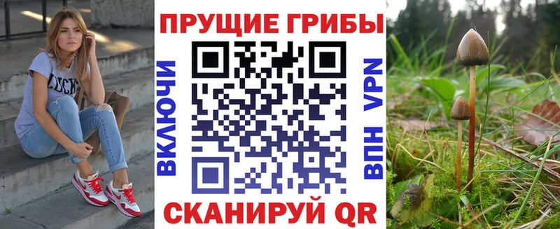 Псилоцибиновые грибы прущие грибы Мышкин